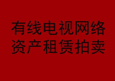 博望區(qū)有線電視網(wǎng)絡(luò)資產(chǎn)租賃拍賣公告