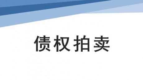 馬鞍山市遠程拍賣有限責(zé)任公司債權(quán)拍賣公告